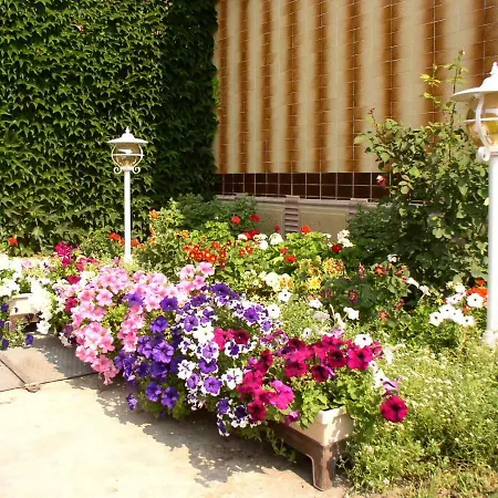 Apartament Amalia *
