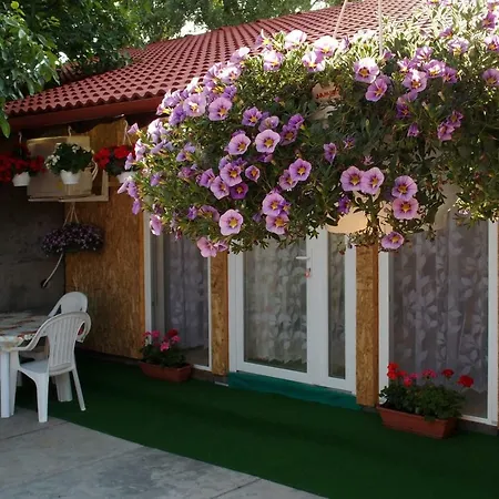 Apartament Amalia *